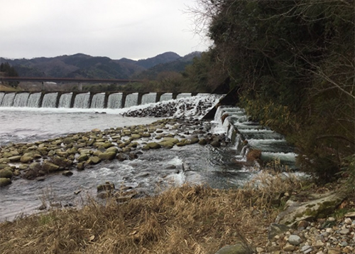 農林・水産