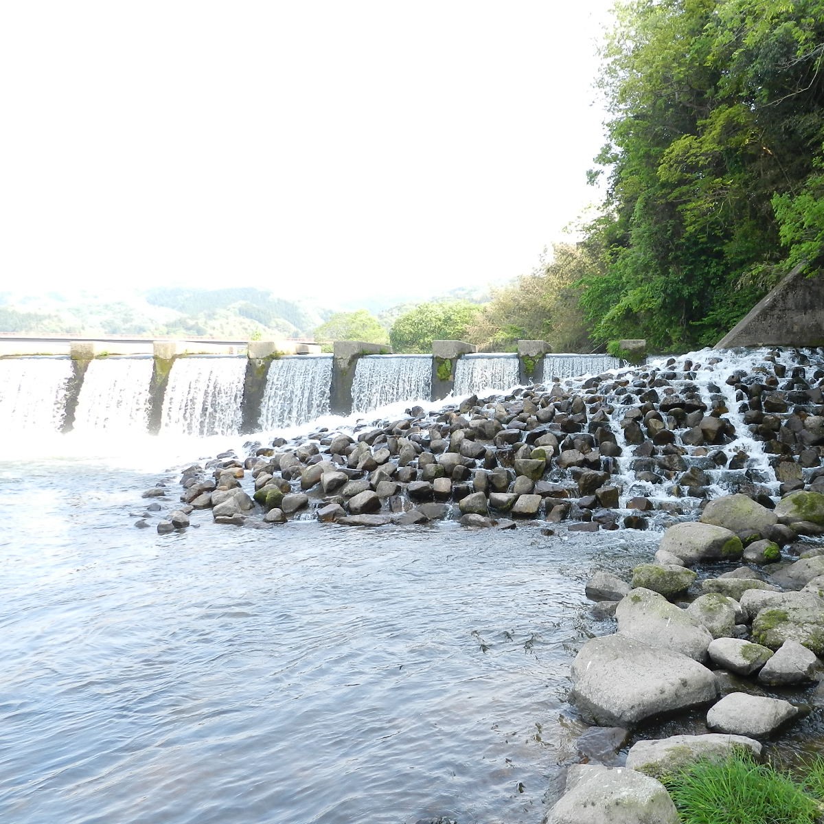 河川における自然再生技術 イメージ画像