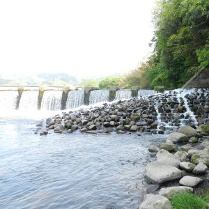河川における自然再生技術 イメージ画像