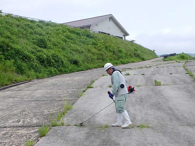 活動の様子