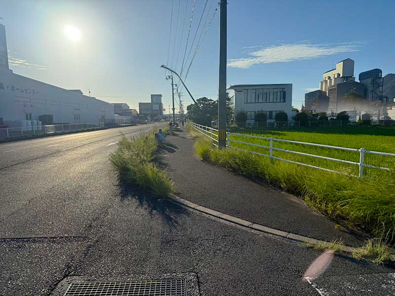 ボランティアの様子 作業前(東側から)