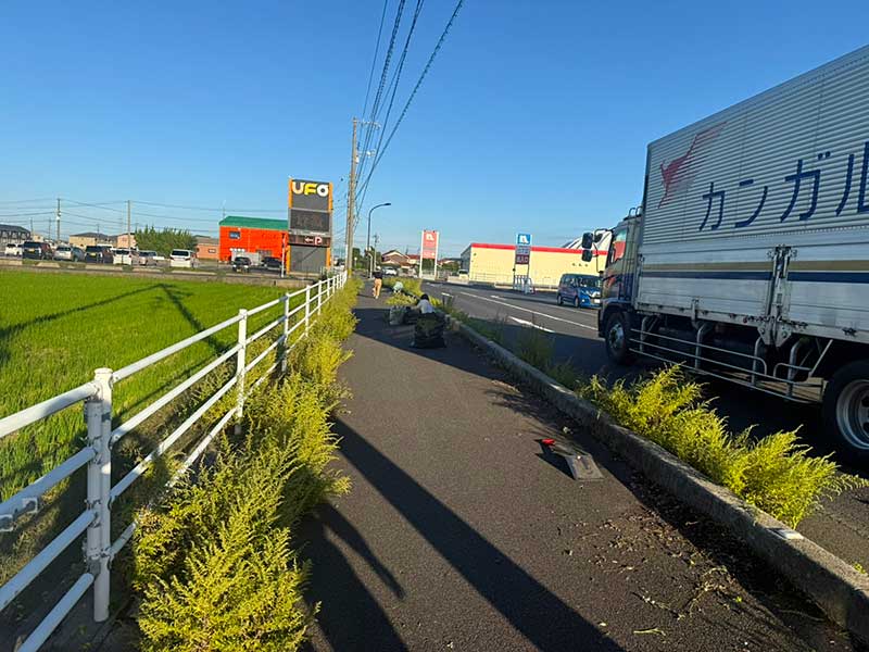 ボランティアの様子 作業前(西側から)