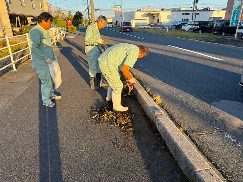 ボランティアの様子 作業中(西側から)