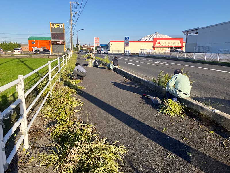 ボランティアの様子 作業中(東側から)