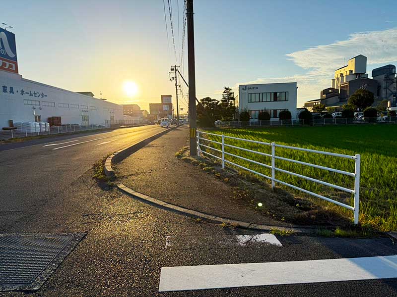 ボランティアの様子 作業後(東側から)