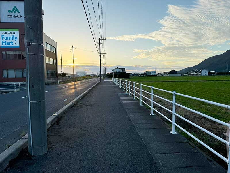 ボランティアの様子 作業後(西側から)